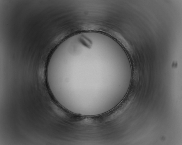 X0000102870441200809021451