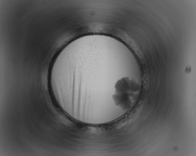 X0000102870442200809021451