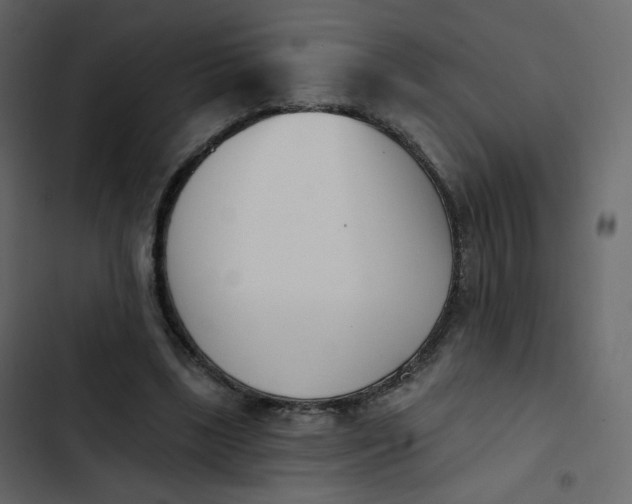 X0000102870443200809021451