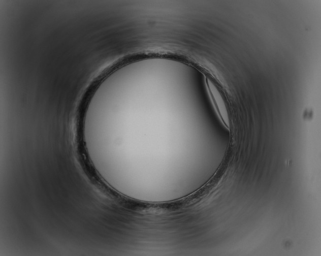 X0000102870444200809021451