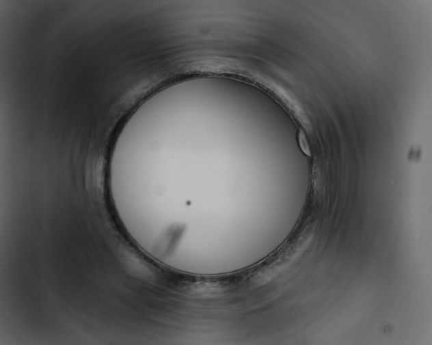 X0000102870445200809021451