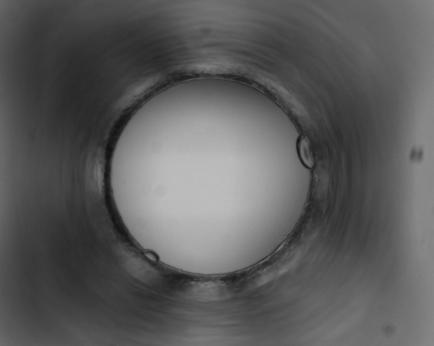 X0000102870446200809021451