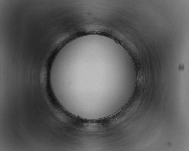 X0000102870448200809021451