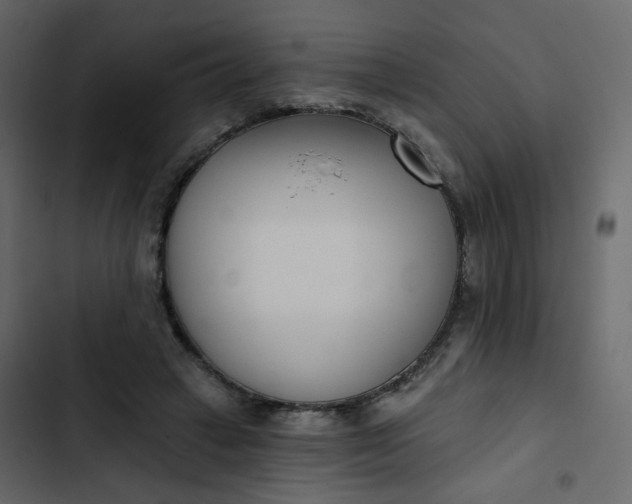 X0000102870449200809021451