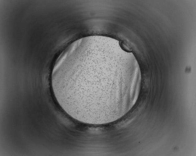 X0000102870450200809021451