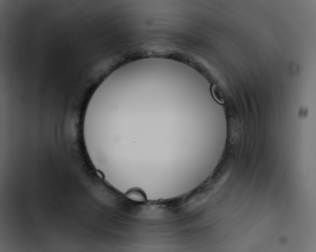 X0000102870451200809021451