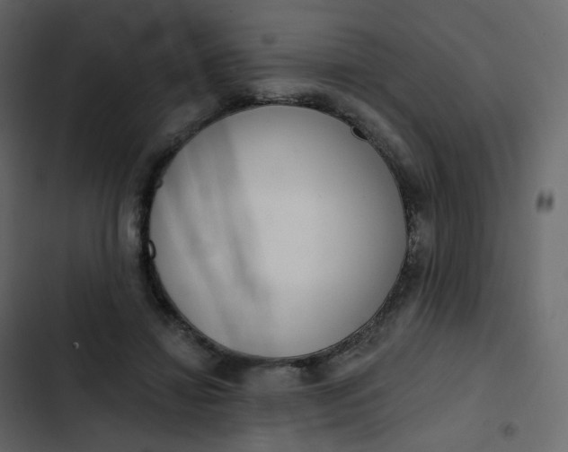 X0000102870452200809021451