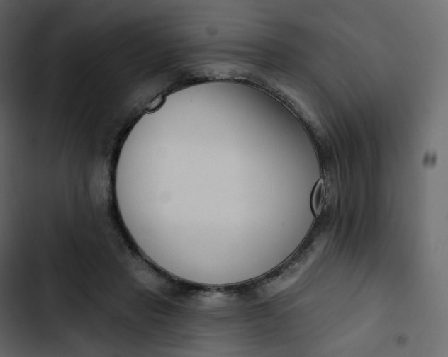 X0000102870453200809021451