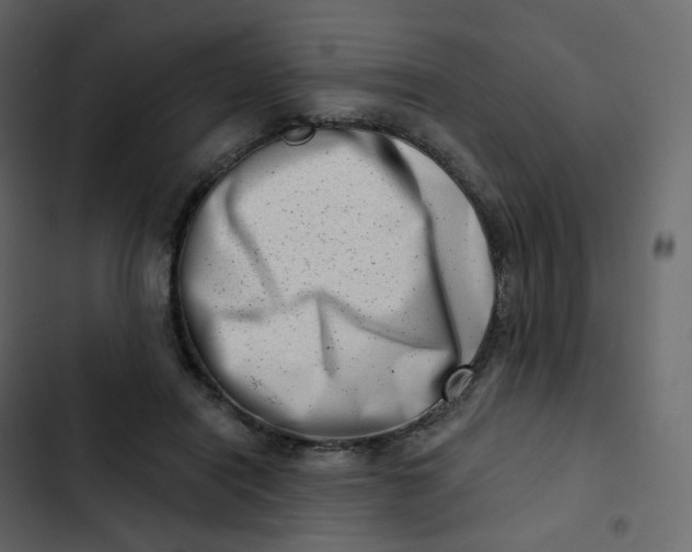 X0000102870454200809021451