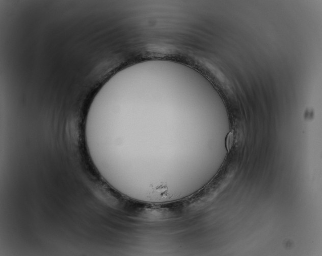 X0000102870455200809021451