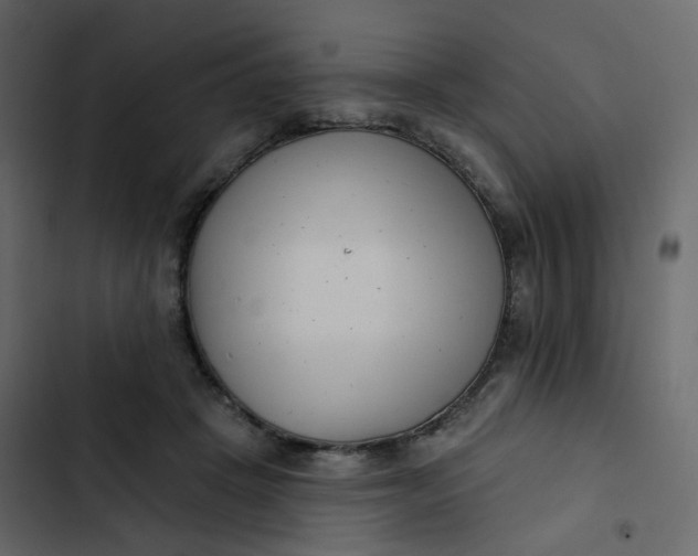 X0000102870457200809021451