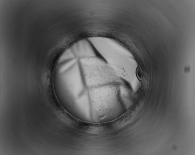 X0000102870458200809021451