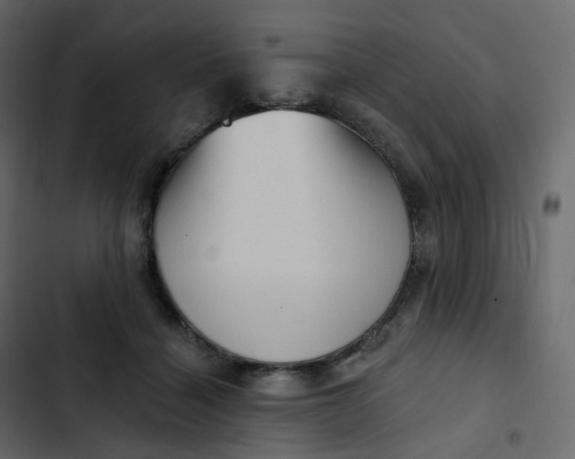 X0000102870460200809021451