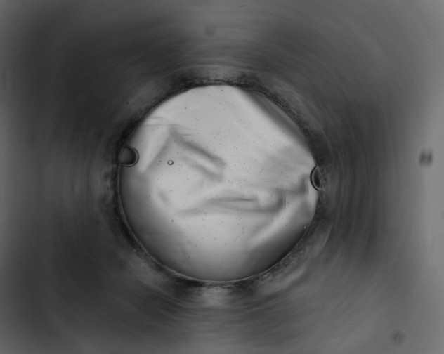 X0000102870462200809021451