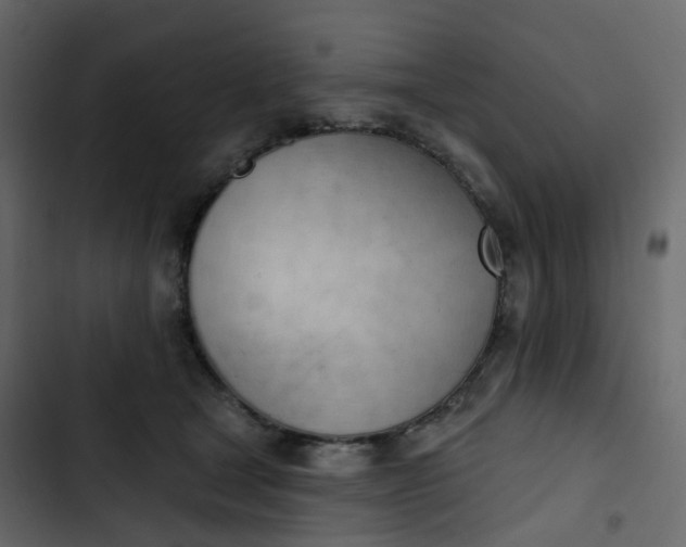 X0000102870465200809021451