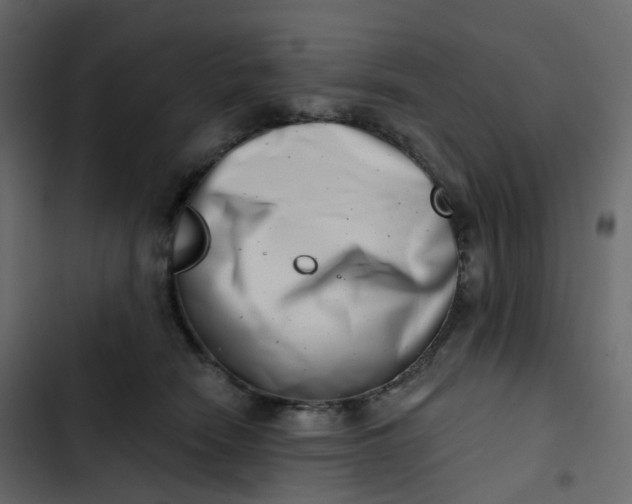 X0000102870466200809021451