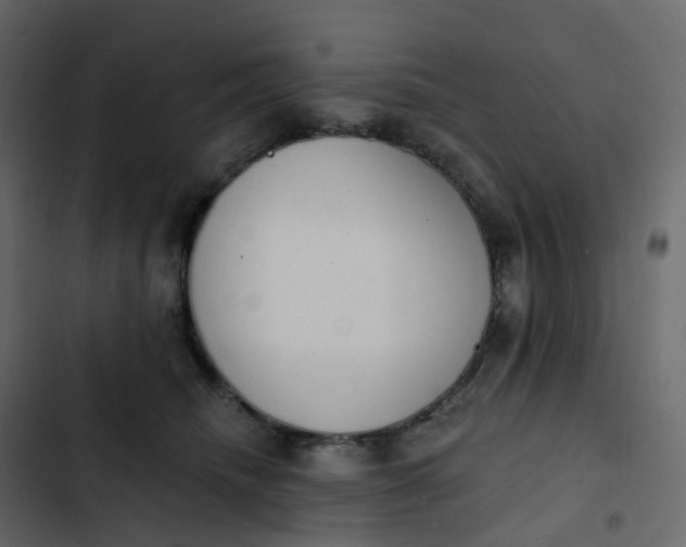 X0000102870468200809021451