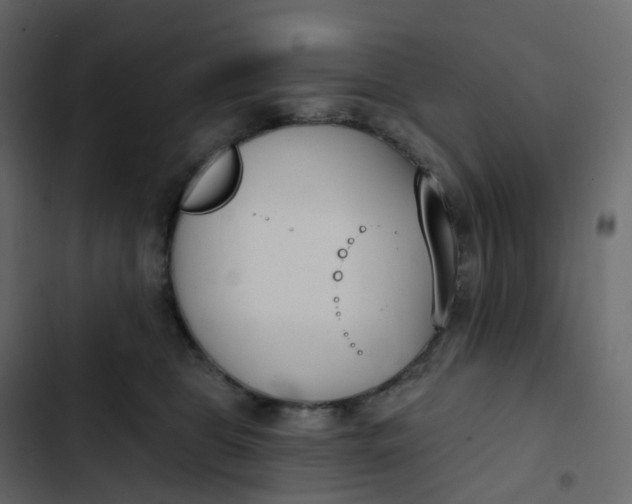 X0000102870469200809021451