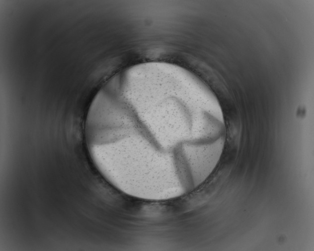 X0000102870470200809021451