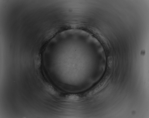 X0000102870471200809021451