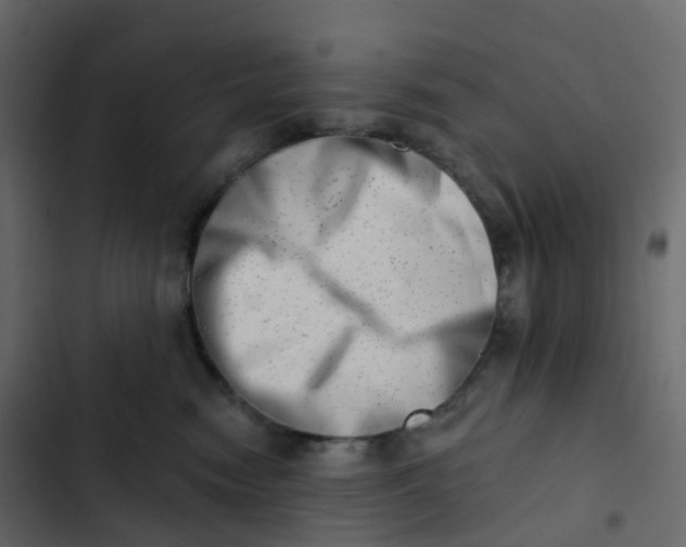 X0000102870474200809021451