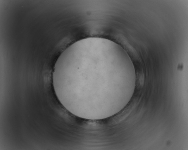 X0000102870475200809021451