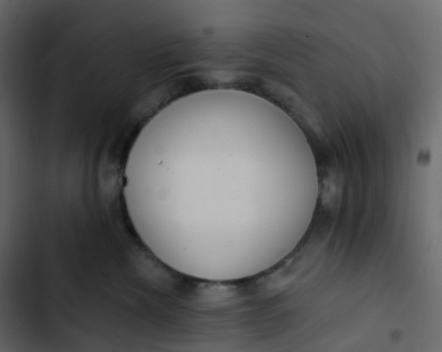 X0000102870476200809021451