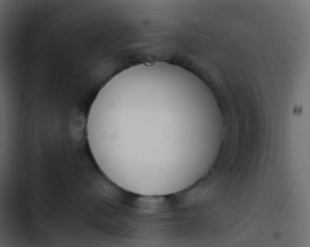 X0000102870480200809021452