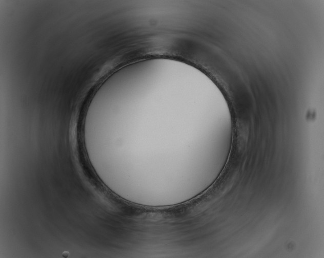 X0000102870482200809021451