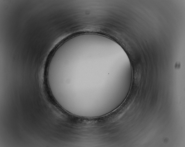 X0000102870484200809021451