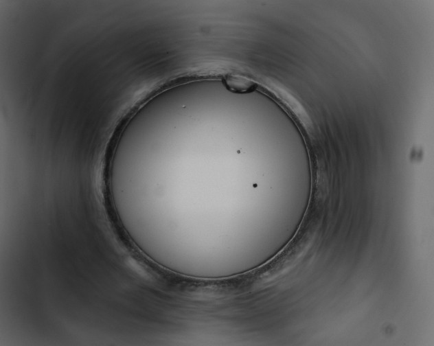 X0000102870485200809021451