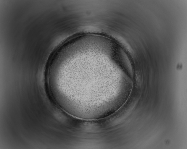 X0000102870487200809021451