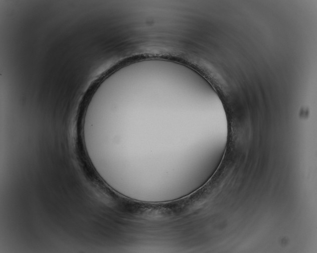 X0000102870488200809021451