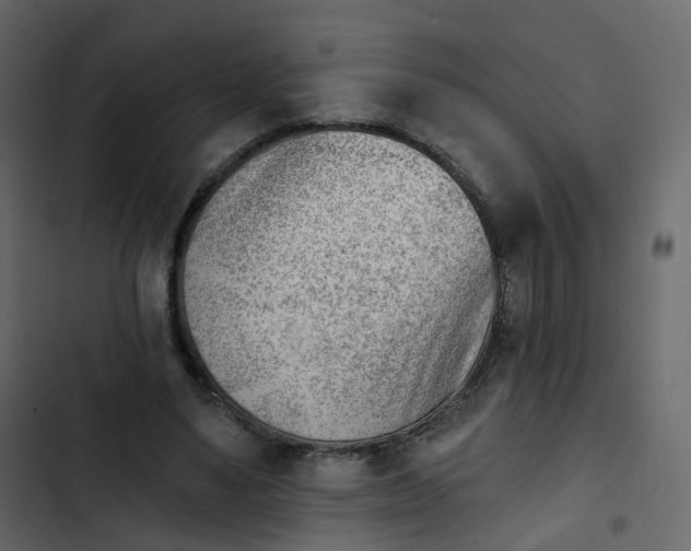 X0000102870491200809021451