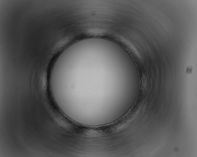 X0000102870494200809021451