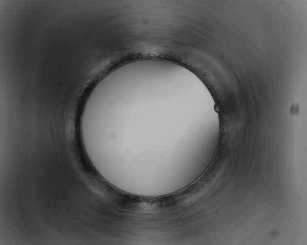 X0000102870496200809021451