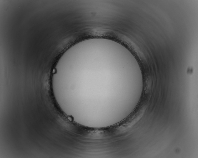 X0000102870497200809021451