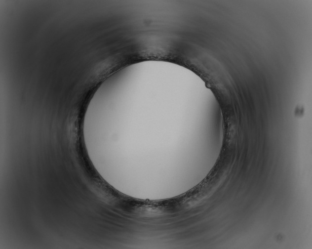 X0000102870498200809021451