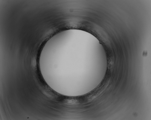 X0000102870500200809021451