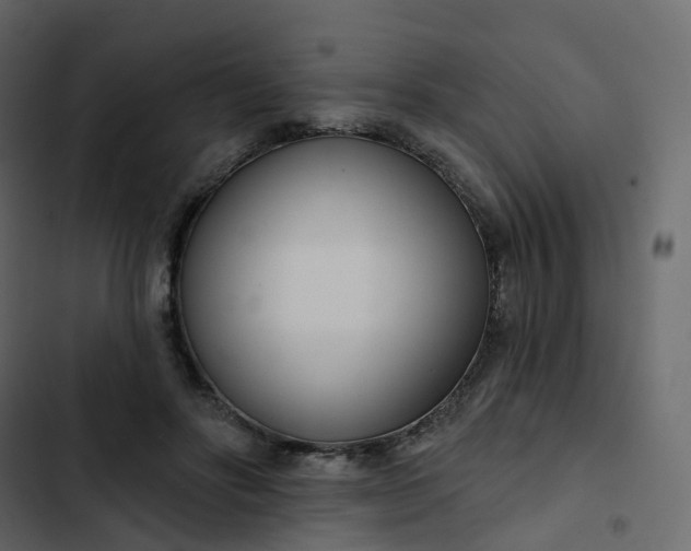 X0000102870502200809021451