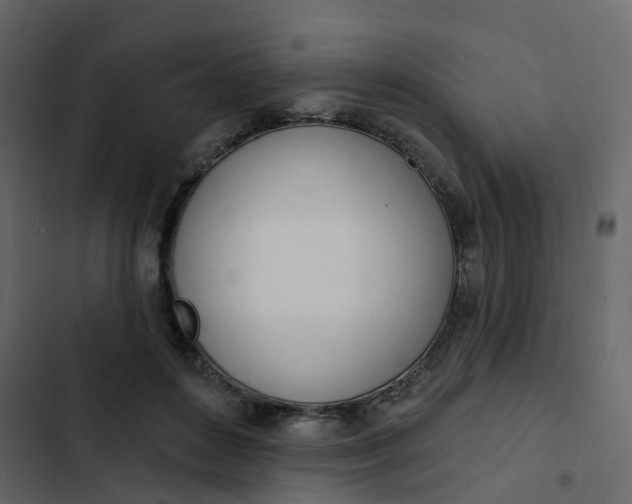 X0000102870504200809021451