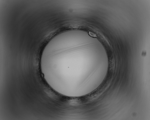 X0000102870505200809021451