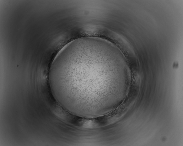 X0000102870507200809021450