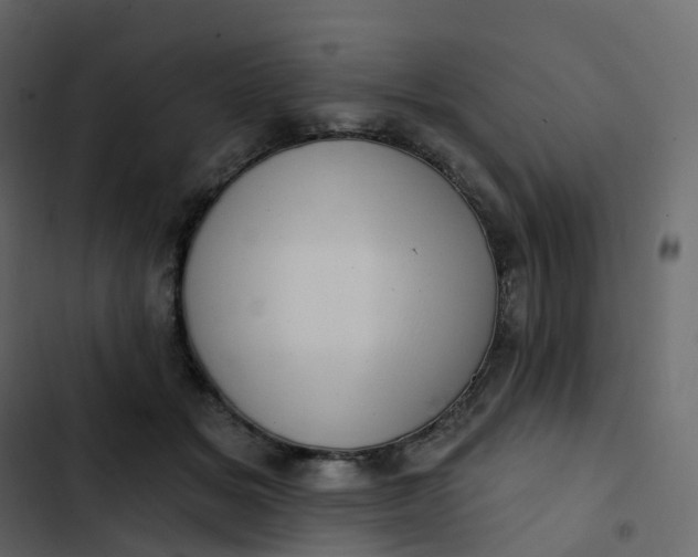 X0000102870509200809021450