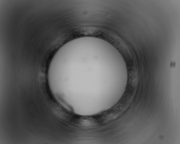 X0000102870510200809021450