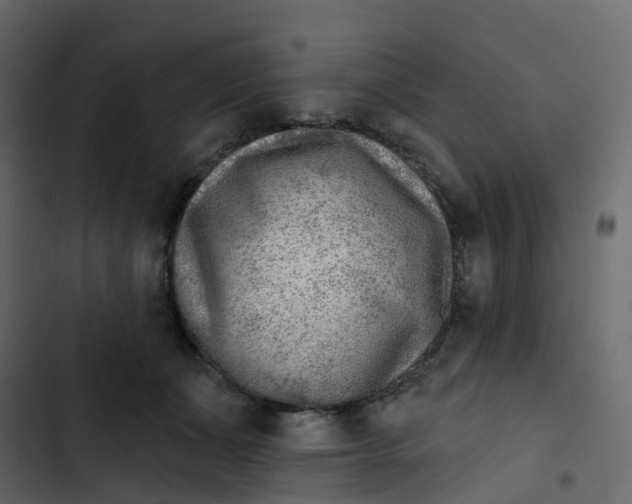 X0000102870511200809021450