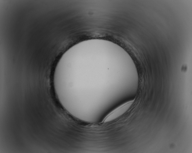 X0000102870512200809021450