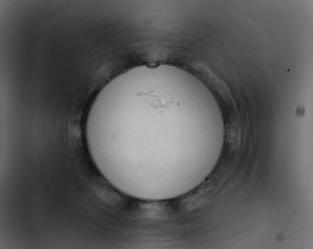 X0000102870516200809021450