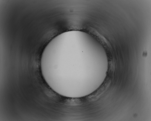 X0000102870517200809021450