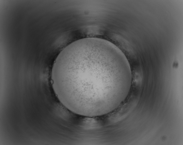 X0000102870519200809021450